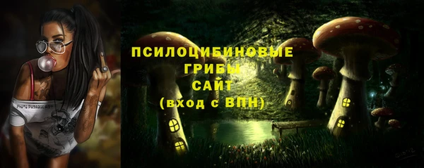 амф Аркадак