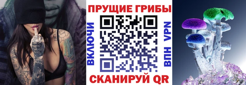 Псилоцибиновые грибы Psilocybine cubensis  как найти наркотики  Сафоново 